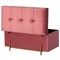 Fabulaxe Large Rectangle Velvet Storage Ottoman Stool Box with Golden Legs, Decorative Sitting Bench, Pink QI003938.PK - alternate 2